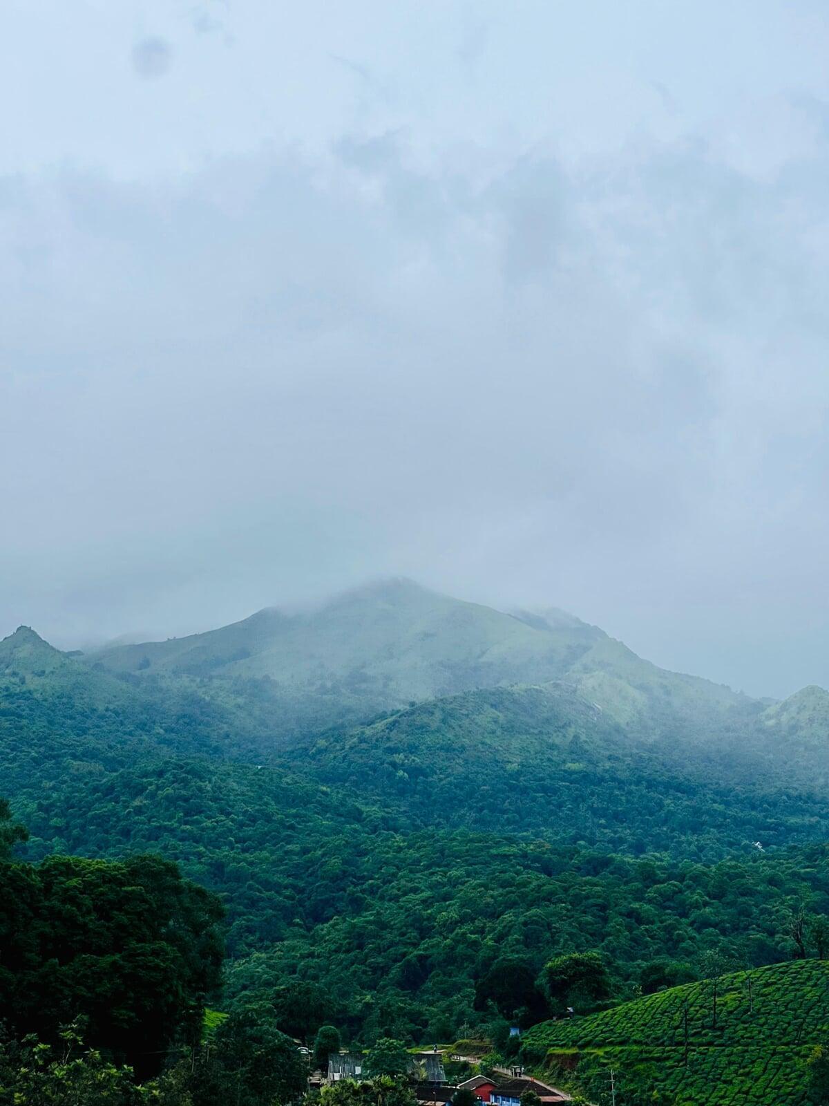 Chembra mountain
